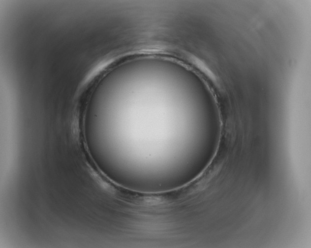 X0000113151456200909110944