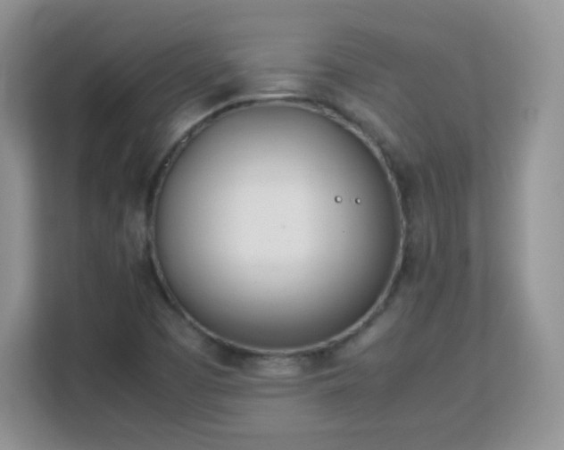 X0000113151457200909110944