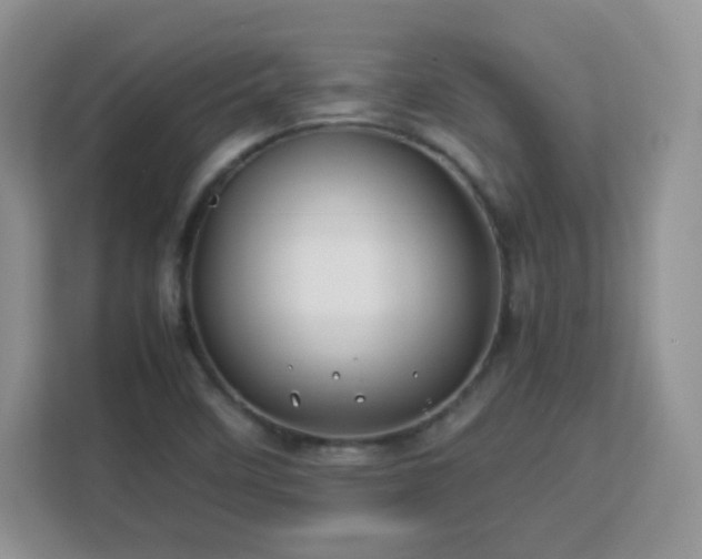 X0000113151458200909110944