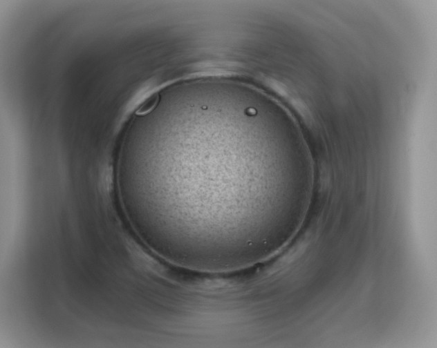 X0000113151459200909110944