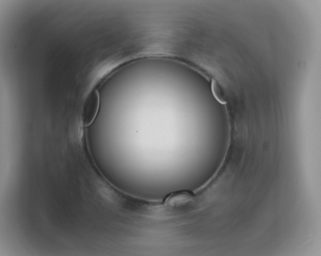 X0000113151461200909110944