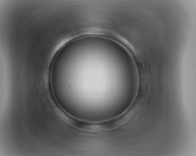 X0000113151463200909110944