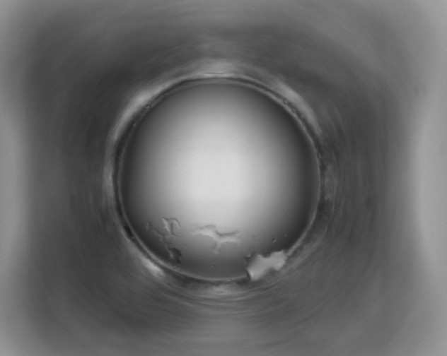 X0000113151464200909110944