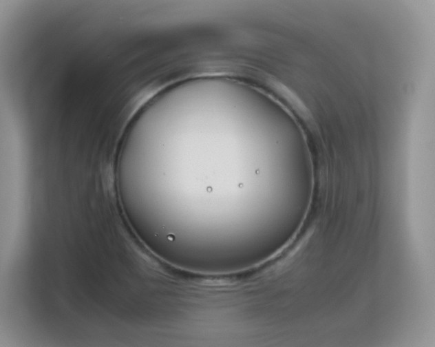 X0000113151465200909110944