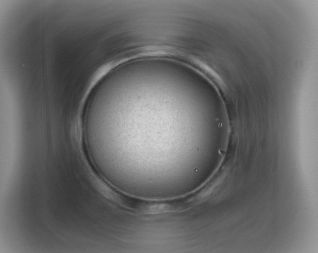 X0000113151467200909110944