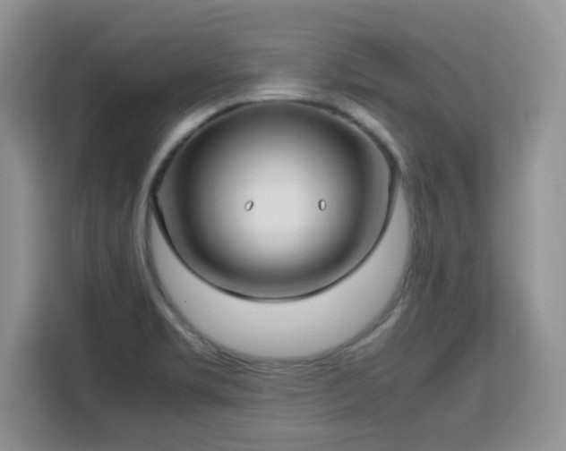 X0000113151469200909110944