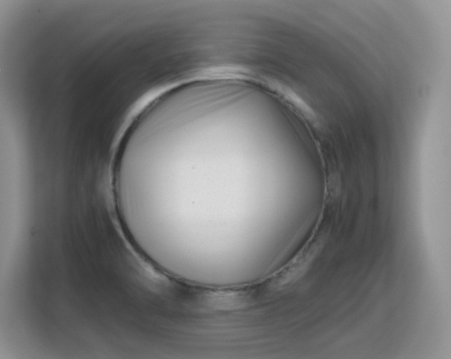 X0000113151470200909110944