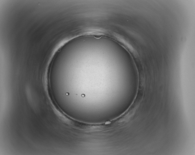 X0000113151471200909110944