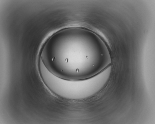 X0000113151472200909110944