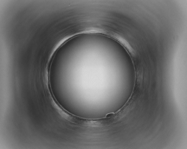 X0000113151476200909110944