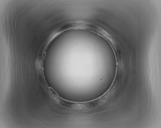 X0000113151481200909110944