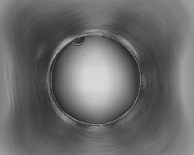 X0000113151482200909110944