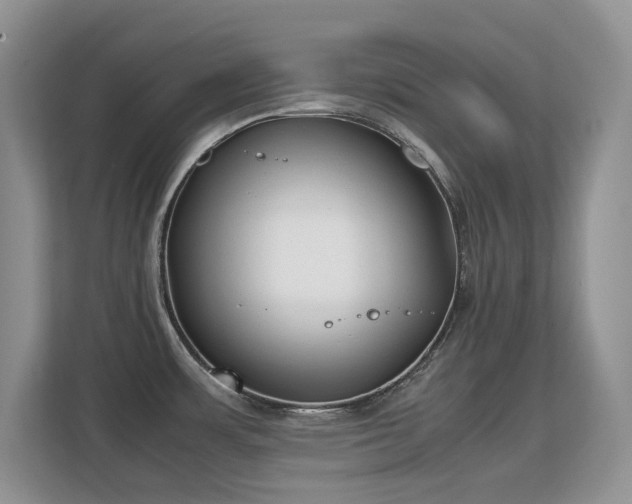 X0000113151483200909110944