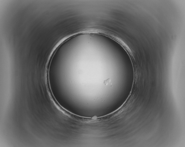 X0000113151484200909110944