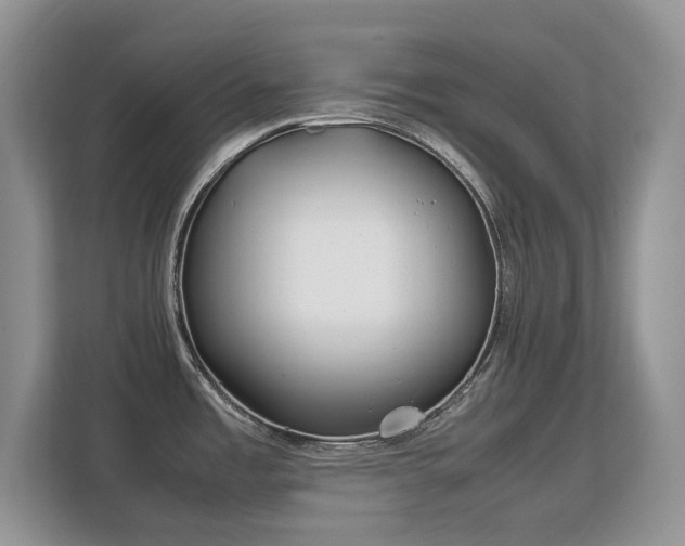 X0000113151485200909110944