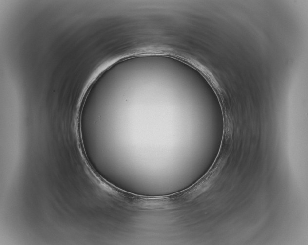 X0000113151486200909110944