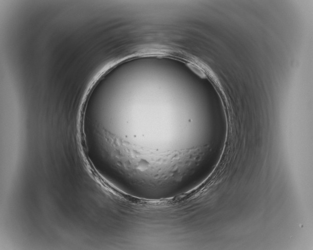 X0000113151488200909110944