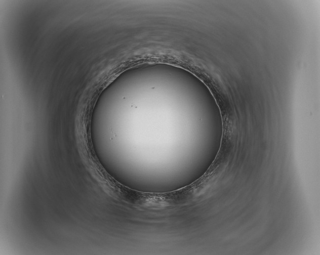 X0000113151489200909110943