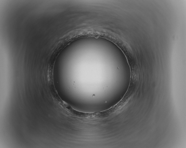 X0000113151490200909110943