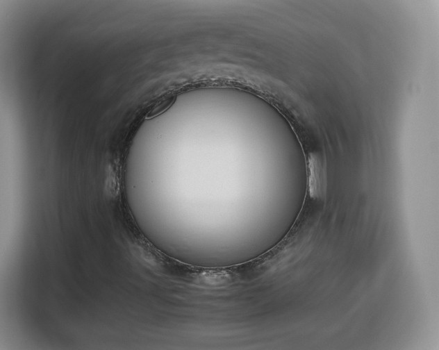 X0000113151491200909110943