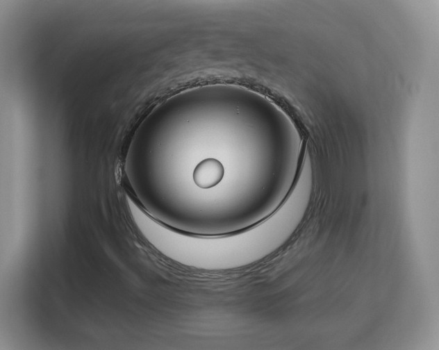 X0000113151492200909110943