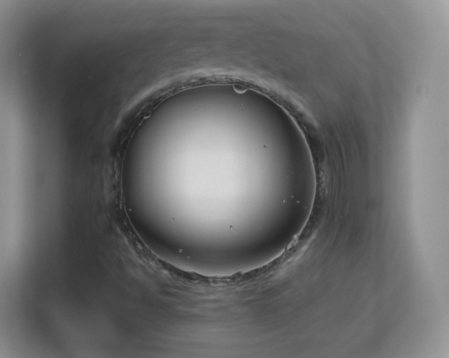 X0000113151494200909110943