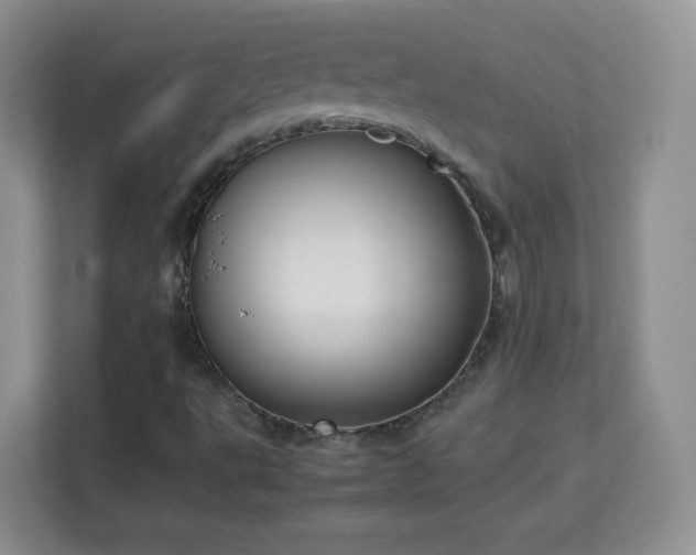 X0000113151495200909110943