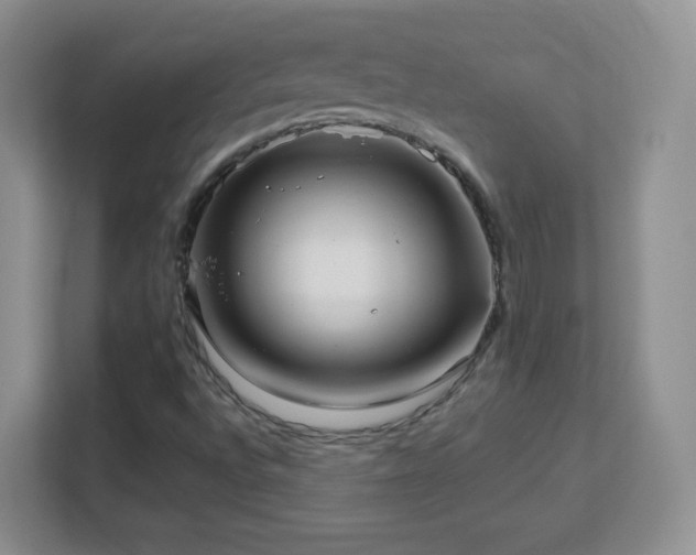 X0000113151496200909110943