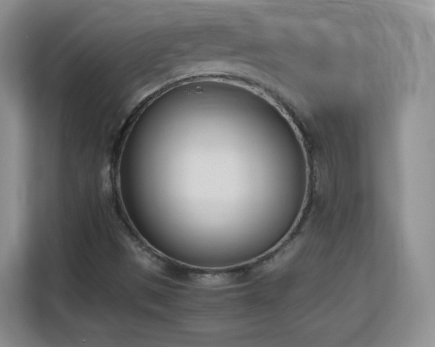 X0000113151497200909110943