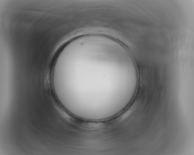 X0000113151498200909110943