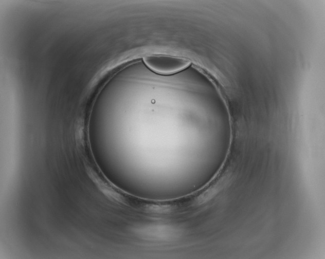 X0000113151499200909110943