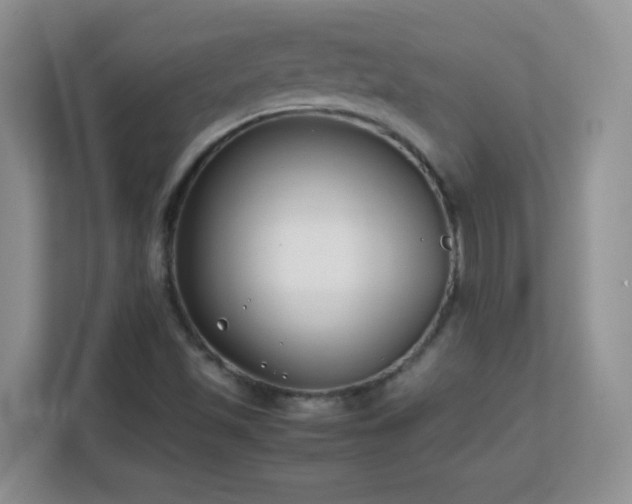 X0000113151501200909110943