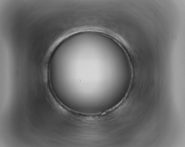 X0000113151504200909110943