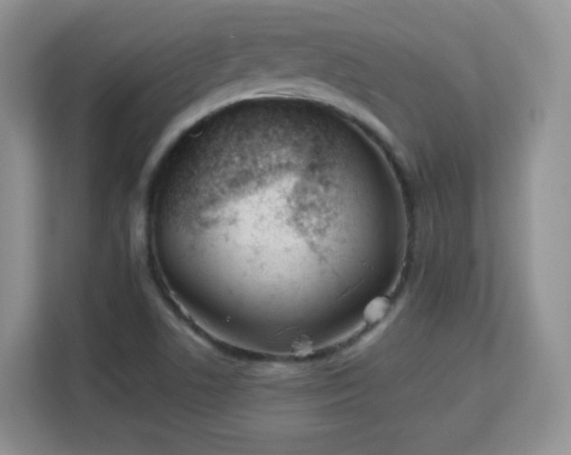 X0000113151506200909110944