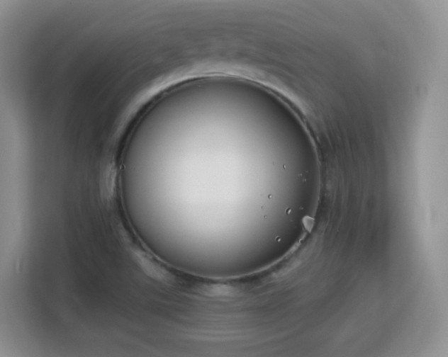 X0000113151507200909110944