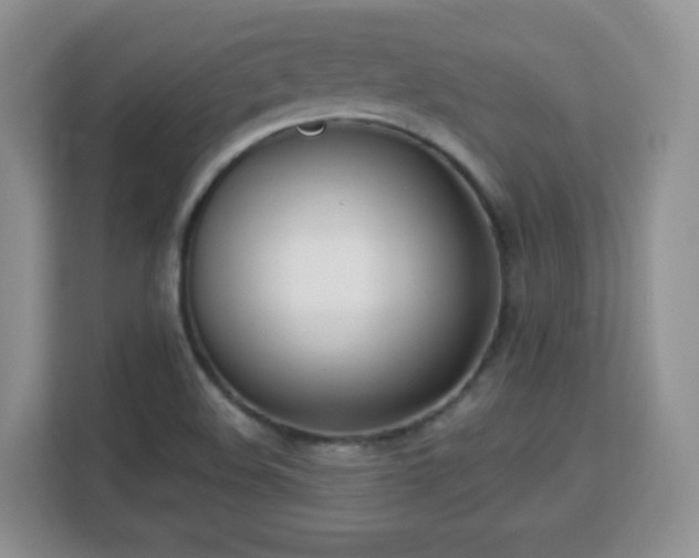 X0000113151508200909110944