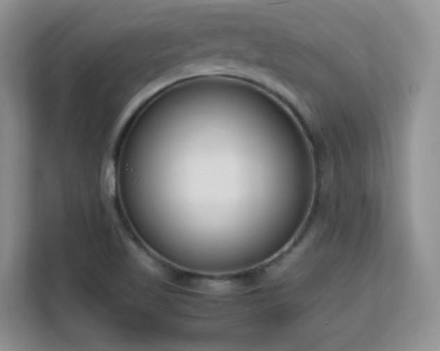 X0000113151509200909110944