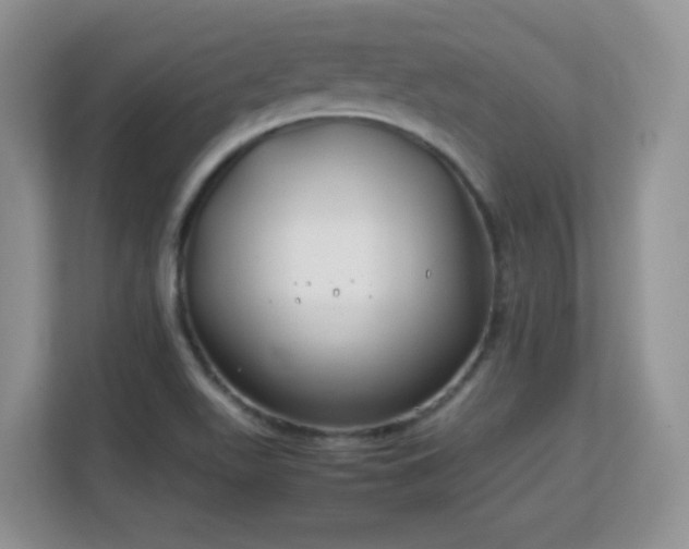 X0000113151511200909110944