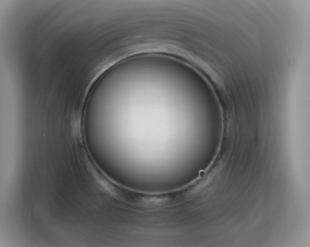 X0000113151513200909110944