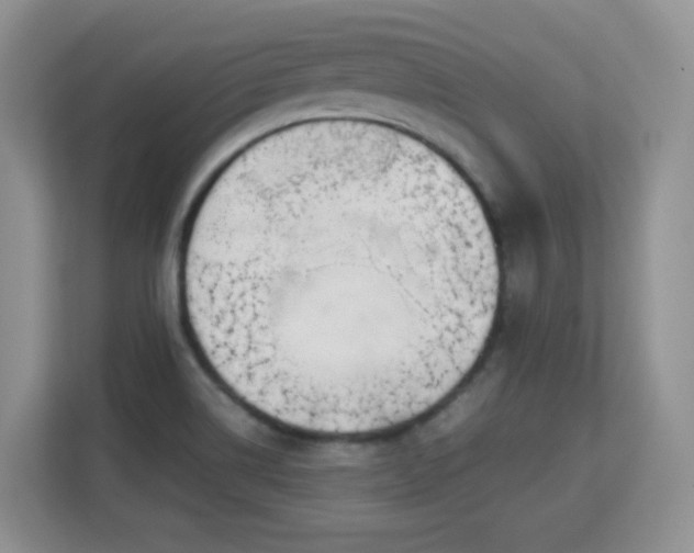 X0000113151514200909110944