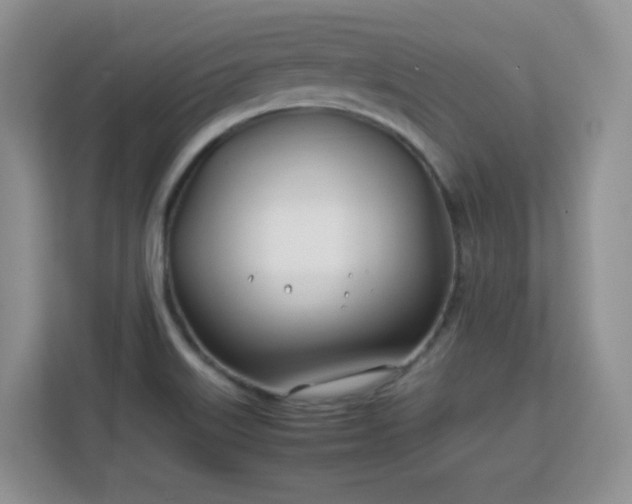 X0000113151515200909110944