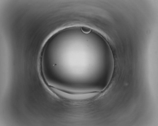 X0000113151518200909110944