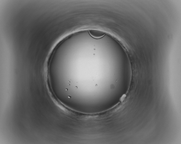 X0000113151519200909110944