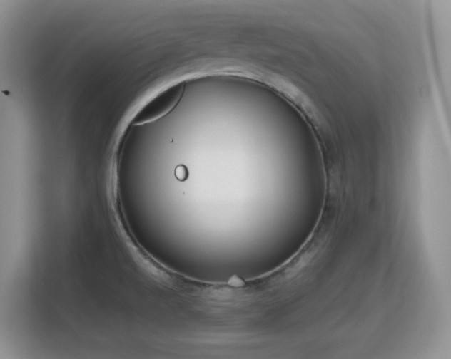 X0000113151520200909110944