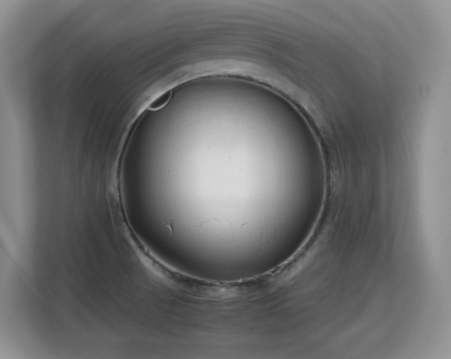 X0000113151521200909110944