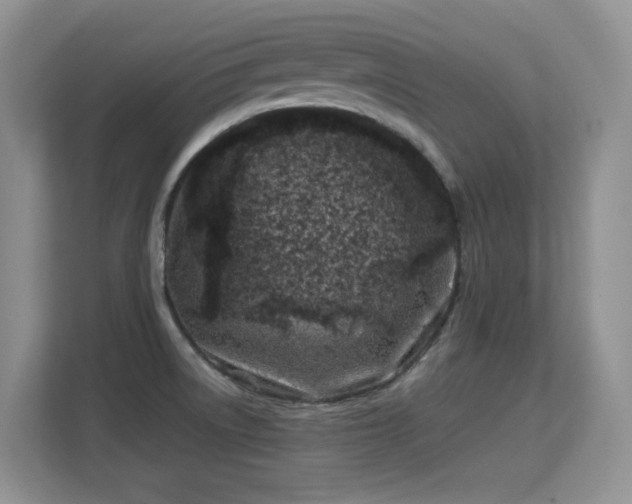 X0000113151522200909110944