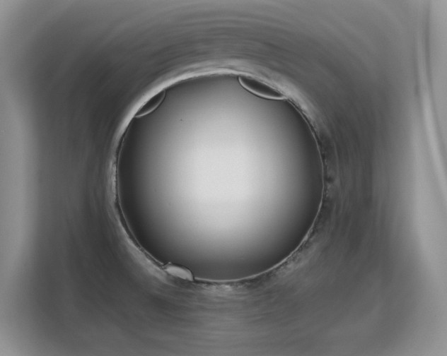 X0000113151524200909110944