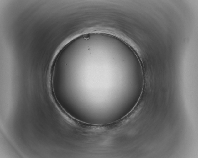 X0000113151525200909110944