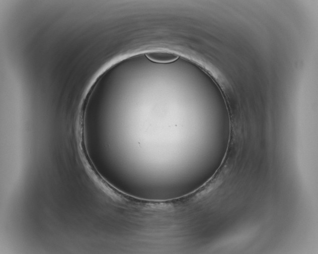 X0000113151526200909110944