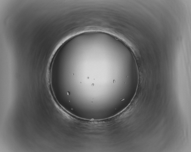 X0000113151527200909110944